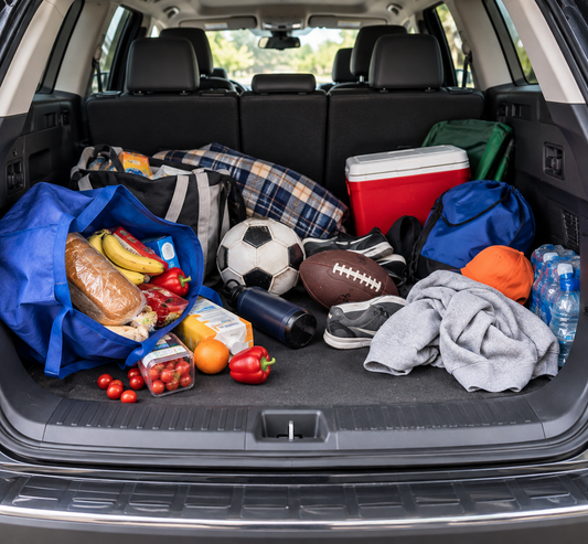 Fall Cleaning & Storage